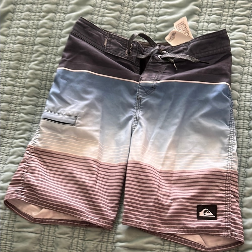 Quiksilver Blue and Purple Striped Board Shorts